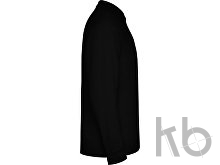 Рубашка поло «Estrella» мужская с длинным рукавом