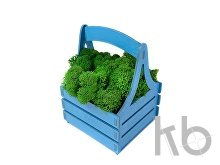 Композиция «Корзинка со мхом»