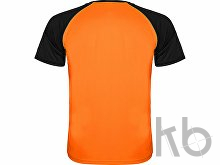 Спортивная футболка «Indianapolis» мужская