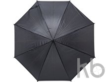 Polyester (170T) umbrella