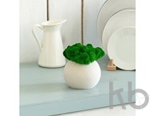 Кашпо бетонное со мхом «Сфера»