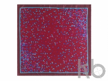 Шелковый платок Tourbillon