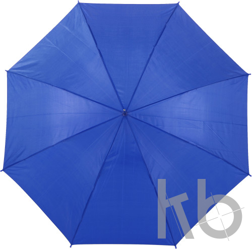 Polyester (170T) umbrella