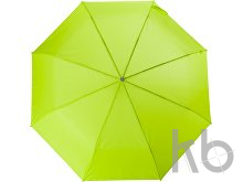 Polyester (210T) umbrella