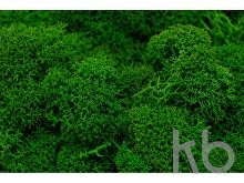 Кашпо металлическое со мхом