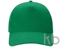 Бейсболка «Florida 350»