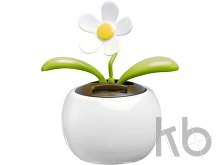 ABS and PP solar flower