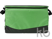 Polyester (600D) cooler bag