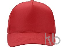 Бейсболка «Poly»