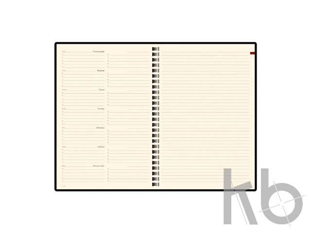 Еженедельник недатированный A5  «Concept»