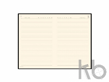 Ежедневник полудатированный портфолио А5 «Profy»