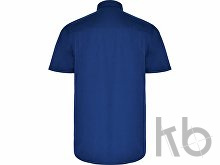 Рубашка «Aifos» мужская с коротким рукавом