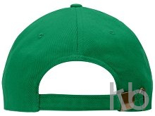 Бейсболка «Florida 350»