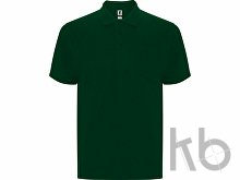 Рубашка поло «Centauro Premium» мужская