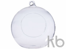 Террариум «Sphere»