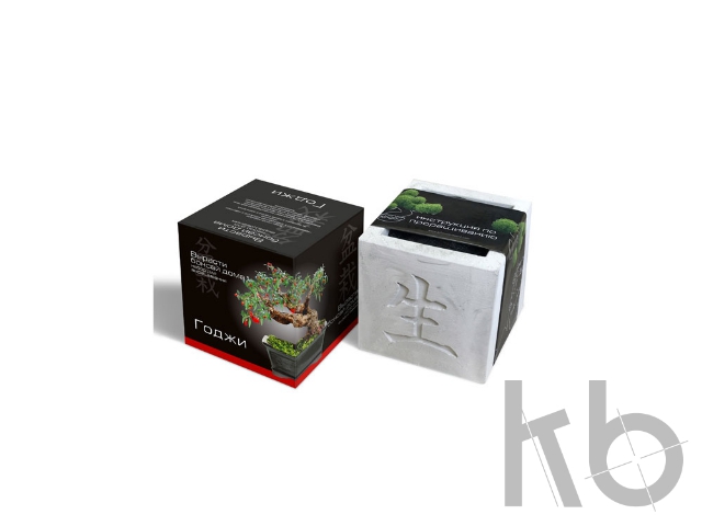 Подарочный набор «Вырасти Бонсай дома. Годжи»