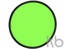 Фрисби «Florida»