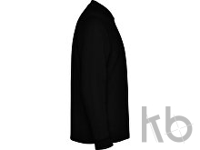 Рубашка поло «Carpe» мужская с длинным рукавом