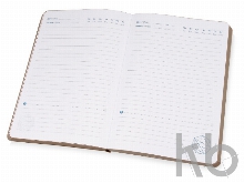 Ежедневник недатированный А5 «Vivid Flex AR»