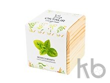 Набор для выращивания «Big village cube «Мелиса Мохито»