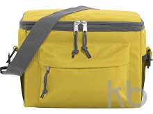 Polyester (600D) cooler bag