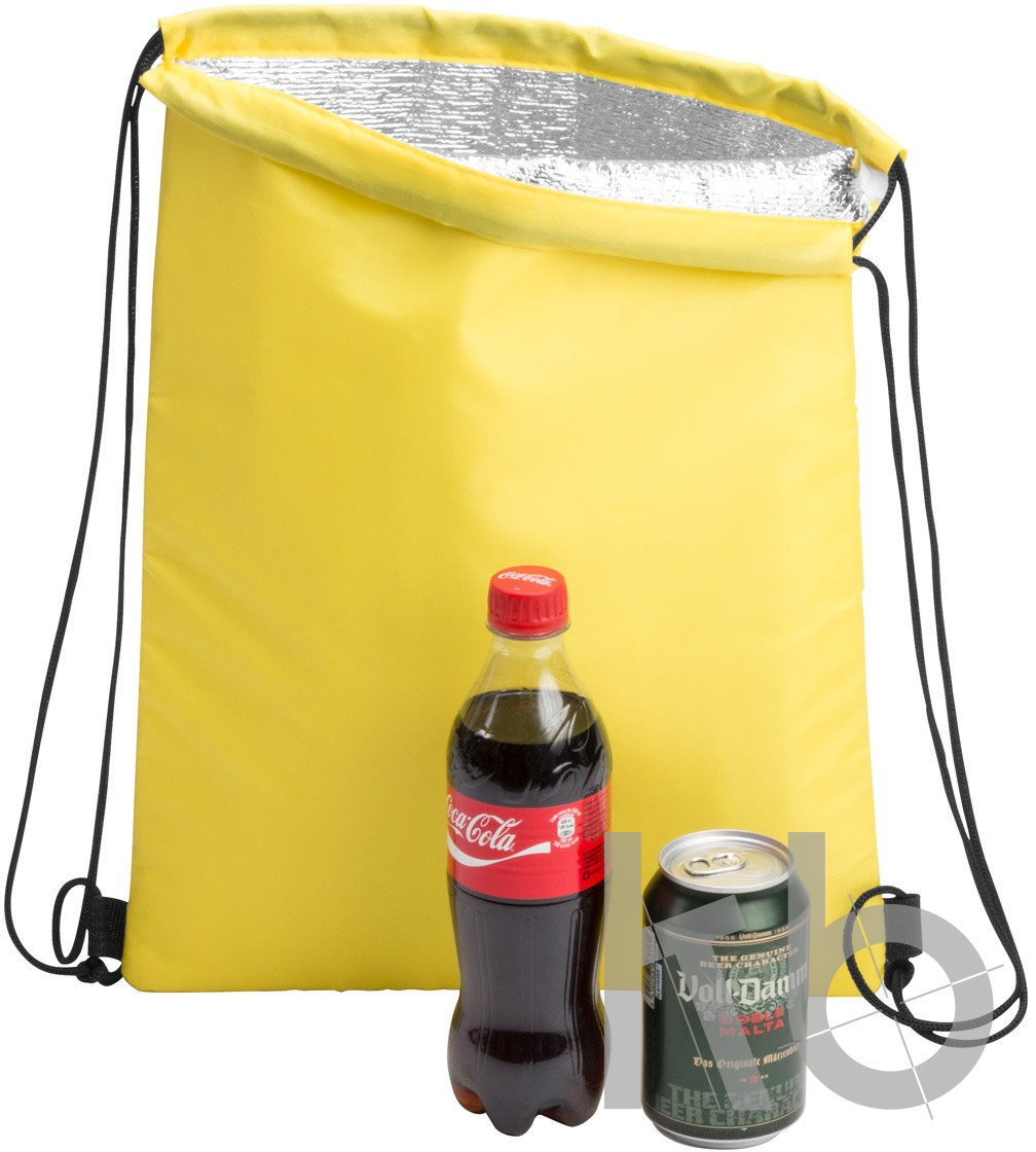 cooler bag