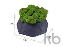 Кашпо бетонное со мхом «Альфа»