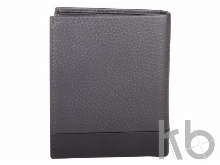 Кошелек «Nueva FV»