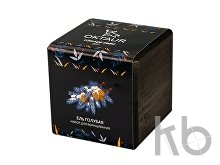 Набор для выращивания «Small village cube «Ель Голубая»