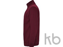 Свитшот «Aneto» мужской