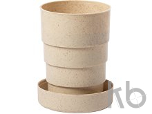 foldable cup