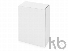 Часы «Традиционные и нетрадиционные виды электроэнергетики»