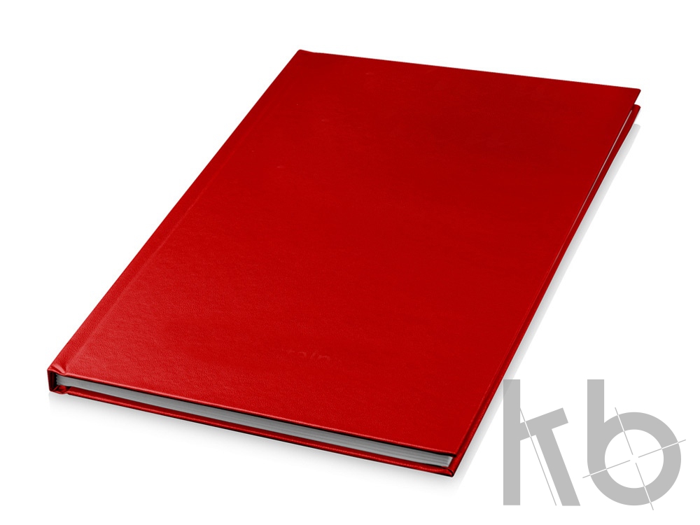 Блокнот A5 «Gosling»