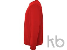 Свитшот из органического хлопка «Batian», унисекс