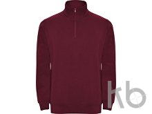 Свитшот «Aneto» мужской