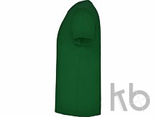 Футболка «Samoyedo» мужская