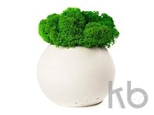 Кашпо бетонное со мхом «Сфера»