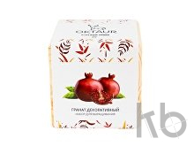 Набор для выращивания «Big village cube «Гранат комнатный»