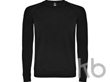 Свитшот «Annapurna» мужской