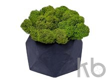 Кашпо бетонное со мхом «Бета»