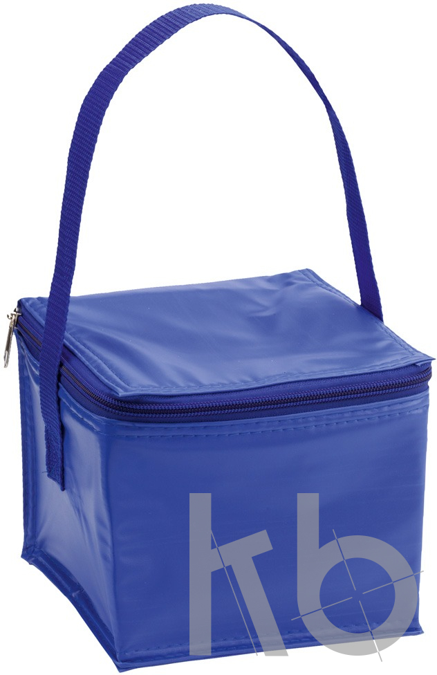 cooler bag