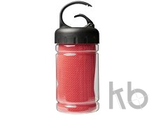 Охлаждающее полотенце «Remy» в контейнере