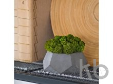 Кашпо бетонное со мхом «Альфа»