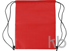 Polyester (210D) cooler bag