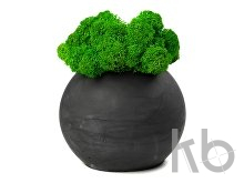 Кашпо бетонное со мхом «Сфера»