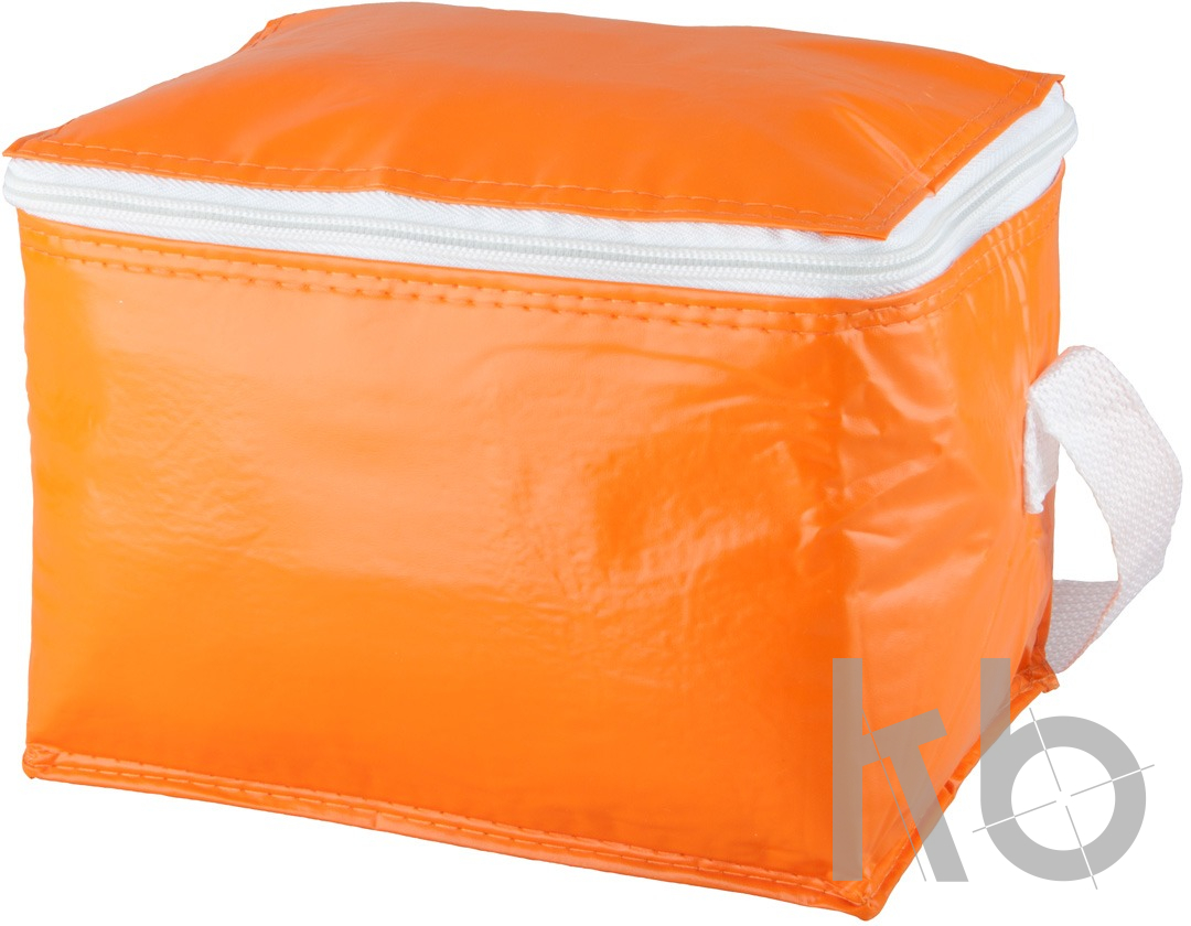 cooler bag