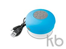 BLAST. Колонка