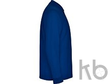 Рубашка поло «Carpe» мужская с длинным рукавом