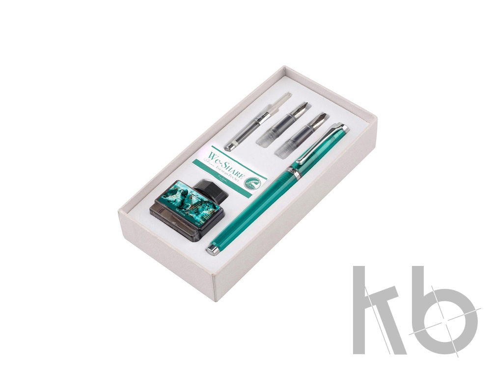 Набор «WE-Share»: ручка перьевая, сменные насадки, конвектор, чернила