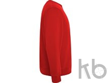 Свитшот из органического хлопка «Batian», унисекс